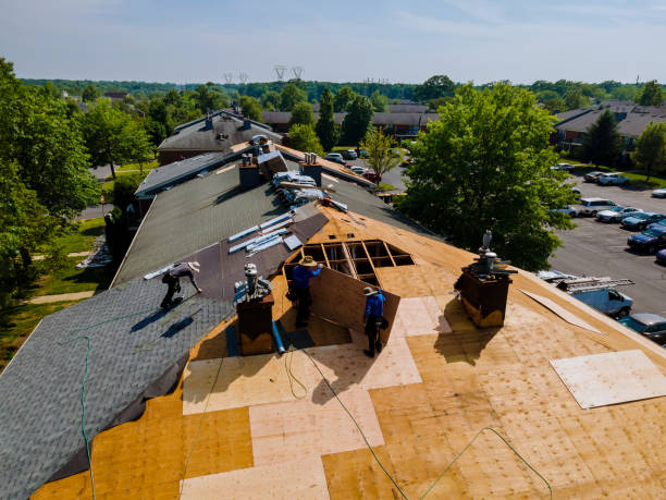 Best Commercial Roof Installation  in Hanna City, IL