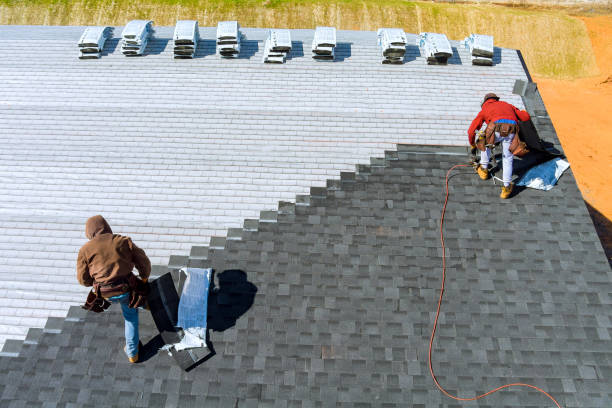 Best Metal Roofing Contractor  in Hanna City, IL