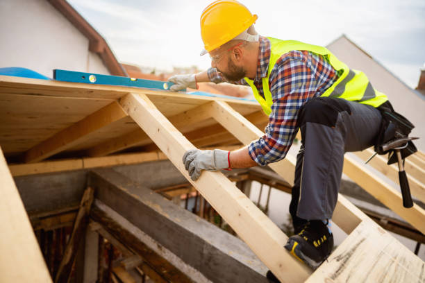 Best Roof Maintenance Services  in Hanna City, IL
