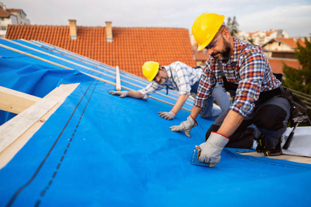 Best Storm Damage Roof Repair  in Hanna City, IL